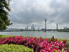 -澳门文华东方酒店文华饼房(孙逸仙大马路店)