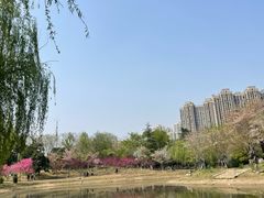 -堤角公园