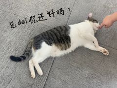 -UNI UNI(环亚凯瑟琳店)