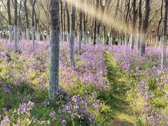 -白塘生态植物园