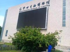-辽宁古生物博物馆