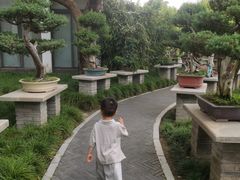 -郑州植物园