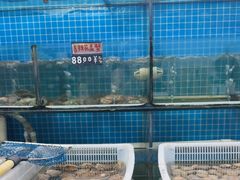 -兆辉木炭海鲜烧烤·海鲜小炒