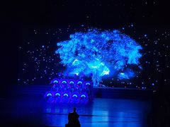 -辽宁大剧院