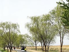 -野鸭湖国家湿地公园