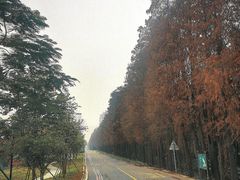 -万顷园艺世界