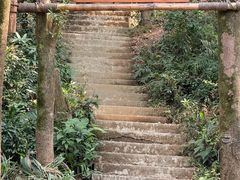 -广州市帽峰山景区