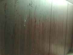 -杨氏采耳(民治大润发店)