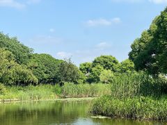 -无锡蠡湖国家湿地公园-蠡园
