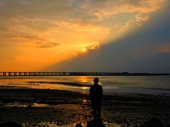 -宝安西湾红树林湿地公园