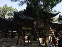 -晋祠公园
