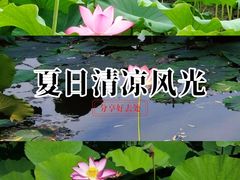 -前关湿地公园