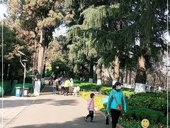 -昆明动物园