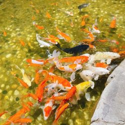 点击看大图 -宝燕乐园(闵行旗舰店)