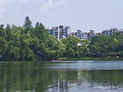 -新江湾城公园
