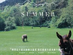 -武陵山森林公园