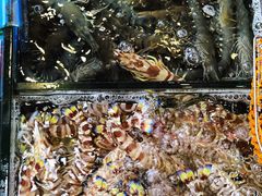 -揭阳钟记小食(福田新村店)