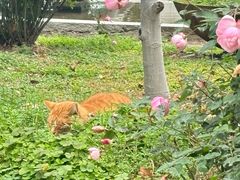 -湖北美术学院(昙华林校区)