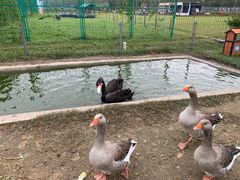 -上海长兴岛郊野公园