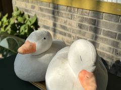 -三忘湖 SWANSEEN(柳荫公园店)