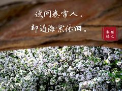 -海棠花溪(元大都城垣遗址公园)