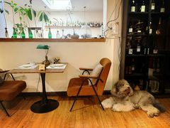 -沏点Trattoria意大利餐厅(新街口店)