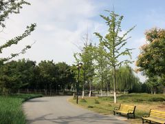 -永定河休闲森林公园