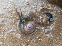 -东戴河风景区-止锚湾