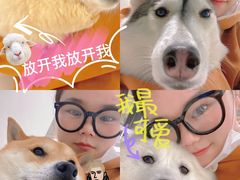 -怪兽屋·羊驼·猫咖·狗咖(俊华广场店)