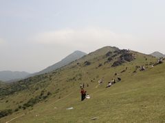 -大姆山草场