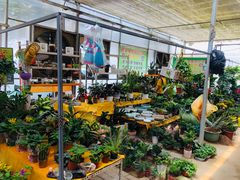 -秦美花卉(天朗·莱茵小城2期店)