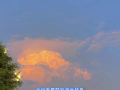 -文叔·湖北名小吃·小龙虾(华强北店)