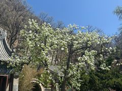 -天津盘山风景名胜区