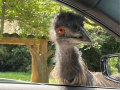 -杭州野生动物世界