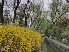 -洛阳市隋唐城遗址植物园