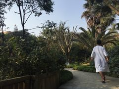 -鱼凫国都大酒店温泉