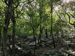 -宝岩生态观光园