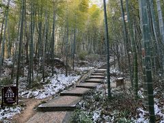-镇江市南山风景名胜区竹林景区