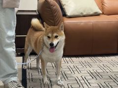 -源氏木语(北外滩来福士店)