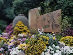 -杭州植物园