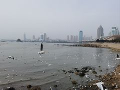 -青岛海尔洲际酒店