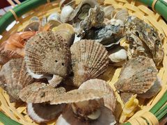 -渔家风味·鲅鱼水饺·央视展播·海鲜天津菜(开发区店)