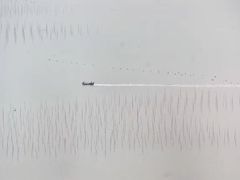 -小皓村
