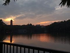 -三水森林公园