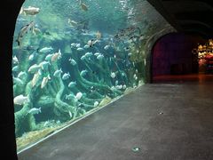 -波塞冬旅游度假区