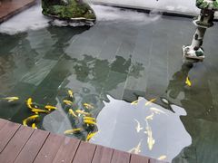 大堂-觀芷隐轩