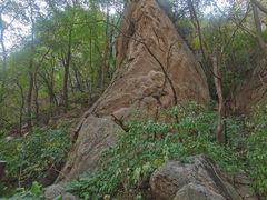 -大岭沟猕猴桃谷风景区