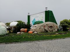 -上海都市菜园