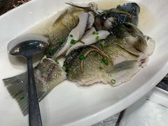 -顺意·顺德家乡菜(国际人才大厦店)