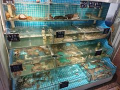 -北戴河庆山饭店·海鲜砂锅粥(北戴河黑石路店)